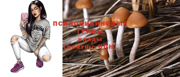 mix Кукмор