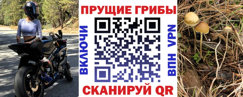 Купить где  Спасск-Рязанский  Галлюциногенные грибы ЛСД 